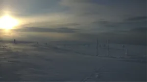 puikot jäässä maisema
